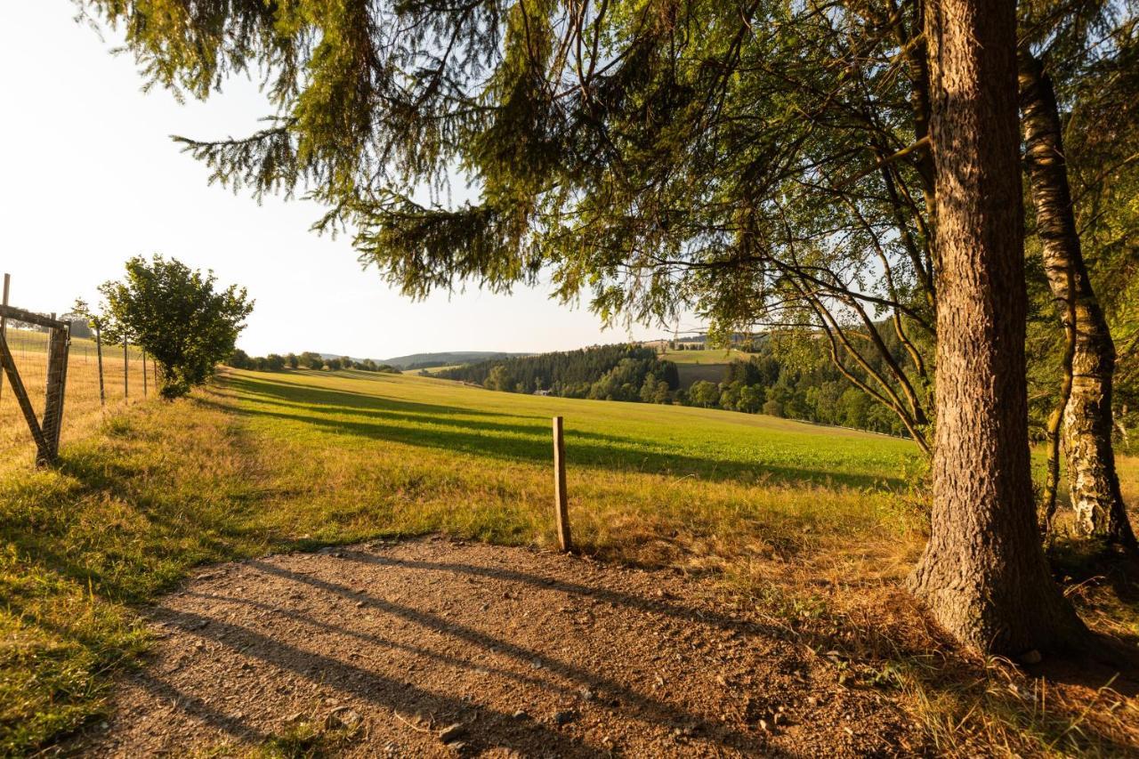 Waldgasthof & Hotel Am Sauwald Tannenberg Exteriér fotografie