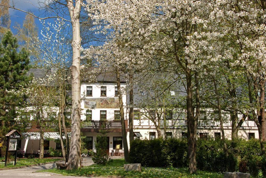 Waldgasthof & Hotel Am Sauwald Tannenberg Exteriér fotografie
